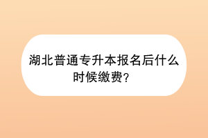 湖北普通专升本报名后什么时候缴费？