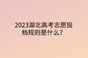 2023湖北高考志愿投档规则是什么？