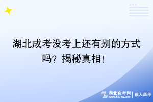 湖北成考没考上还有别的方式吗？揭秘真相！