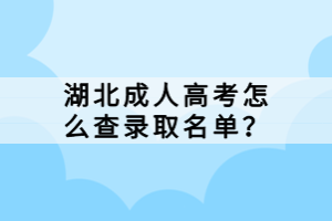 湖北成人高考怎么查录取名单？