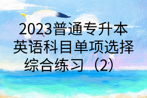 2023普通专升本英语科目单项选择综合练习（2）