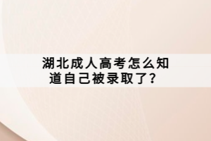 湖北成人高考怎么知道自己被录取了？