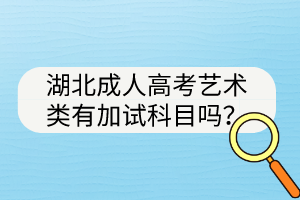 湖北成人高考艺术类有加试科目吗？