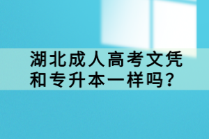 湖北成人高考文凭和专升本一样吗？