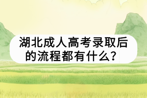 湖北成人高考录取后的流程都有什么？