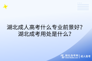 湖北成人高考什么专业前景好？湖北成考用处是什么？