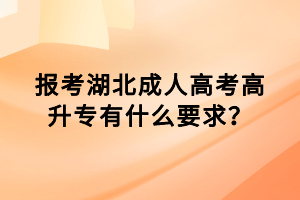 报考湖北成人高考高升专有什么要求？