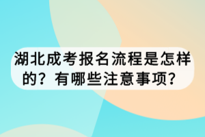 湖北成考报名流程是怎样的？有哪些注意事项？