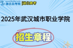 2025年武汉城市职业学院普通高考招生章程