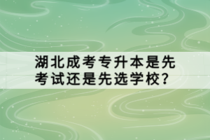 湖北成考专升本是先考试还是先选学校？