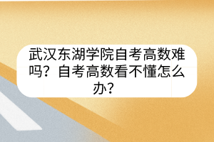 武汉东湖学院自考高数难吗？自考高数看不懂怎么办？