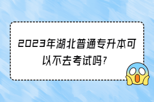 2023年湖北普通专升本可以不去考试吗？