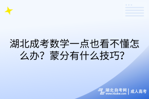 湖北成考数学一点也看不懂怎么办？蒙分有什么技巧？