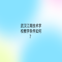 武汉江南技术学校教学条件如何？
