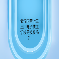 武汉国营七三三厂电子技工学校是技校吗？