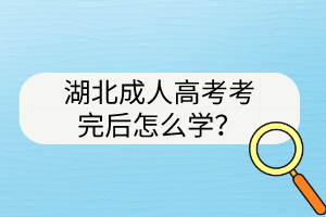 湖北成人高考考完后怎么学？