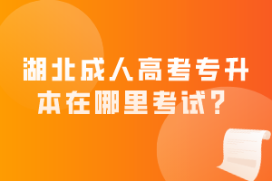 湖北成人高考专升本在哪里考试？