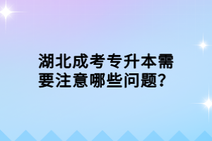 湖北成考专升本需要注意哪些问题？