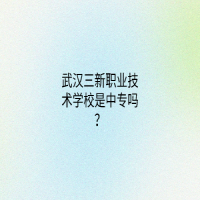 武汉三新职业技术学校是中专吗？