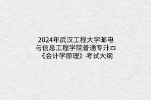 2024年武汉工程大学邮电与信息工程学院普通专升本《会计学原理》考试大纲