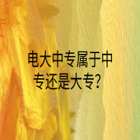 电大中专属于中专还是大专？
