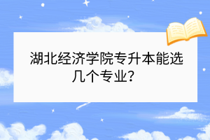 湖北经济学院专升本能选几个专业？