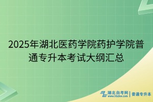 2025年湖北医药学院药护学院普通专升本考试大纲汇总