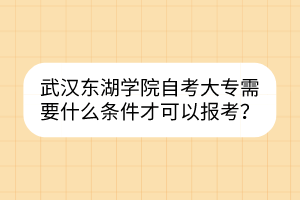 武汉东湖学院自考大专需要什么条件才可以报考？