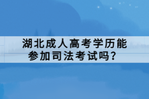 湖北成人高考学历能参加司法考试吗？