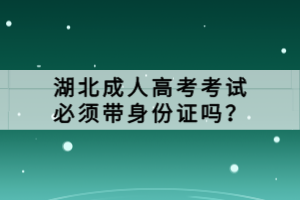 湖北成人高考考试必须带身份证吗？