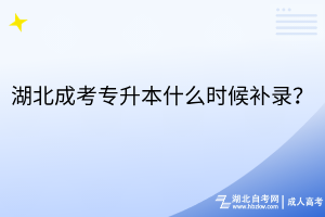湖北成考专升本什么时候补录？