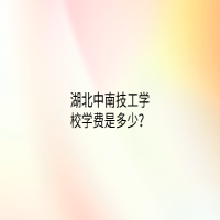 湖北中南技工学校学费是多少？