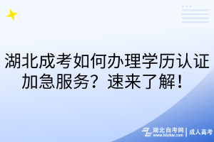湖北成考如何办理学历认证加急服务？速来了解！