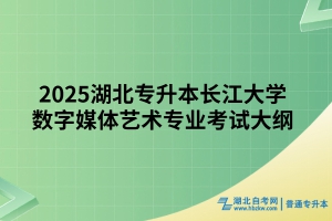 2025年长江大学普通专升本数字媒体艺术专业考试大纲