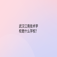 武汉江南技术学校是什么学校？