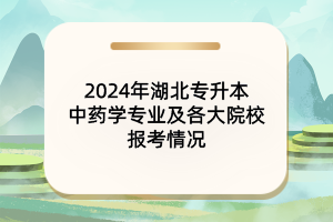 2024年湖北专升本中药学专业及院校报考情况