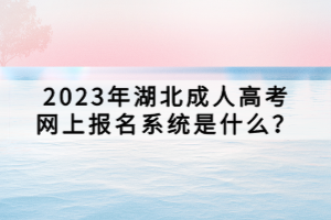 2023年湖北成人高考网上报名系统是什么？