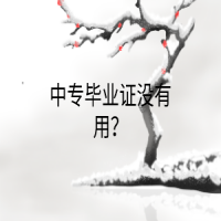 中专毕业证没有用？
