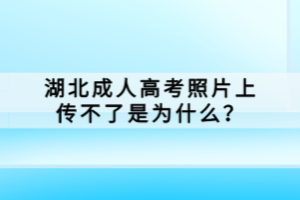 湖北成人高考照片上传不了是为什么？