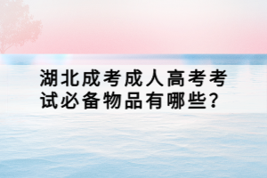 湖北成考成人高考考试必备物品有哪些？