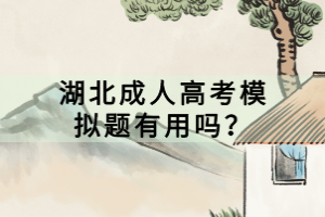 湖北成人高考模拟题有用吗？