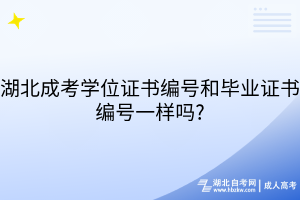 湖北成考学位证书编号和毕业证书编号一样吗?