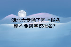 湖北大专除了网上报名能不能到学校报名？