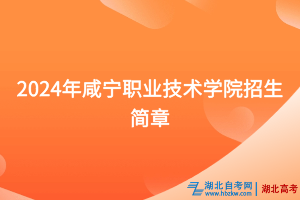 2024年咸宁职业技术学院招生简章