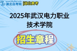2025年武汉电力职业技术学院招生章程
