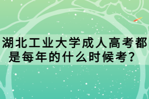 湖北工业大学成人高考都是每年的什么时候考？