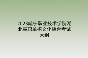 2023咸宁职业技术学院湖北高职单招文化综合考试大纲