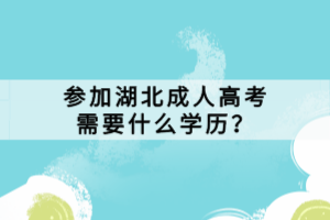 参加湖北成人高考需要什么学历？