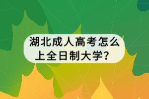 湖北成人高考怎么上全日制大学？