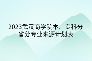2023武汉商学院本、专科分省分专业来源计划表